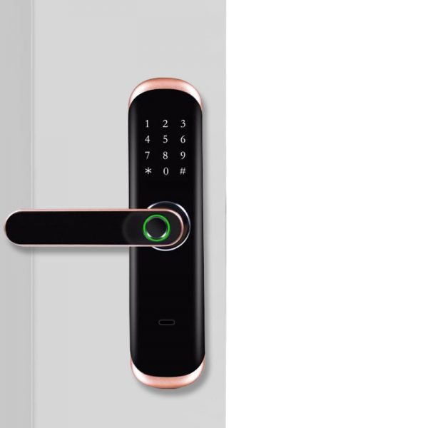 Remote Control Smart Fingerprint Biometric Lock (Tuya, Smart Life, TT Lock) 4