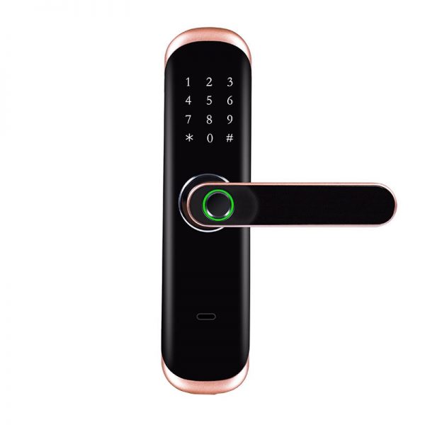 Remote Control Smart Fingerprint Biometric Lock (Tuya, Smart Life, TT Lock) 3