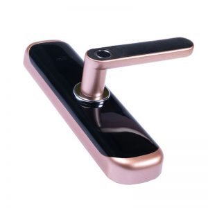 Remote Control Smart Fingerprint Biometric Lock (Tuya, Smart Life, TT Lock) 5